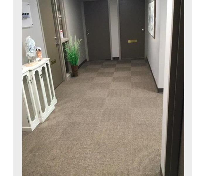 water removed from carpet in commercial building