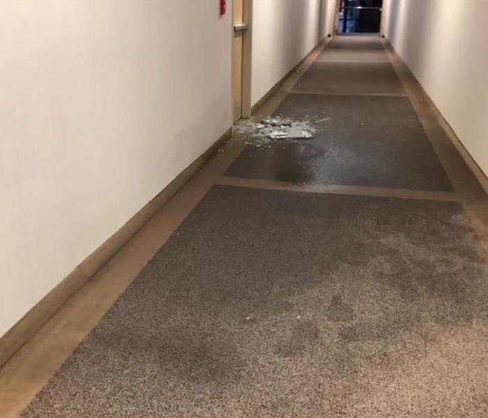water damaged carpet in hallway