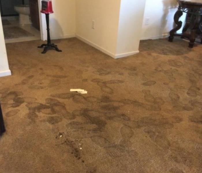 water damaged carpet with footprints on it